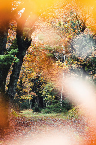 Take a break autumn poster