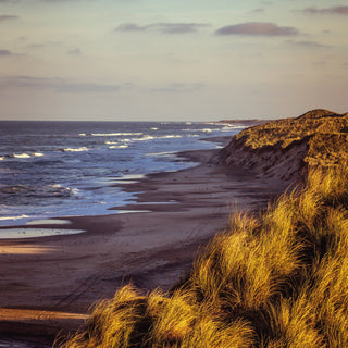 Dunes poster