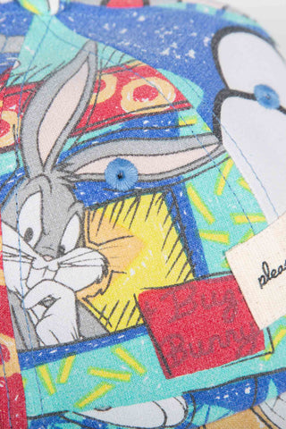 Looney tunes multicolor upcycled cap
