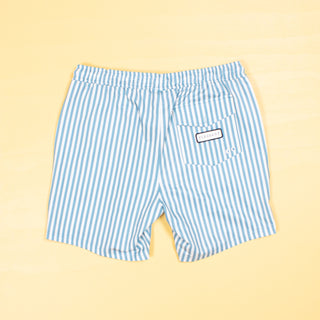 Blue stripes swim shorts
